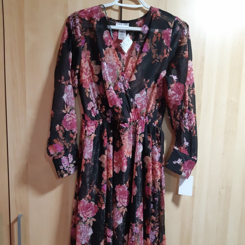 Sheer hi-low dress NWT